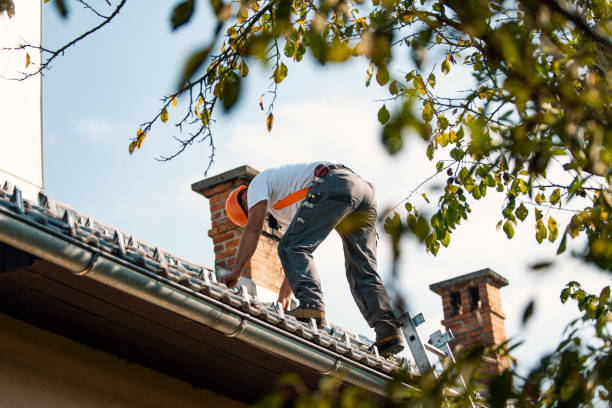 Best Best Roofing Contractors  in North Muskegon, MI