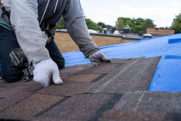 Best Residential Roof Replacement  in North Muskegon, MI