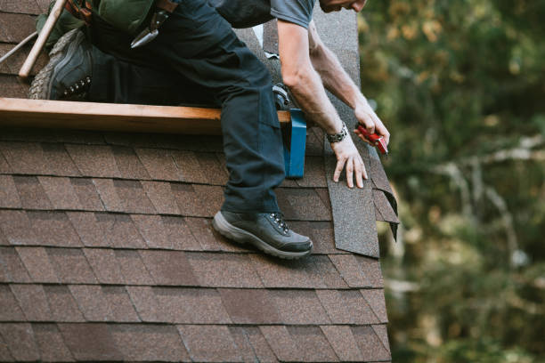 Best Roof Leak Repair  in North Muskegon, MI