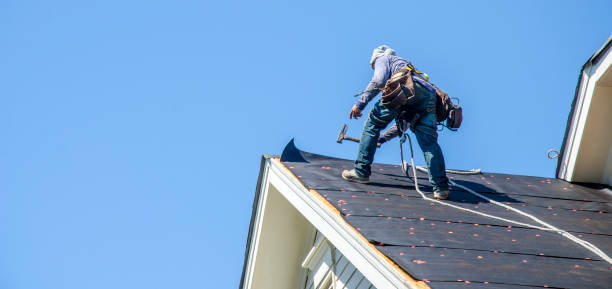 Best Roof Gutter Cleaning  in North Muskegon, MI